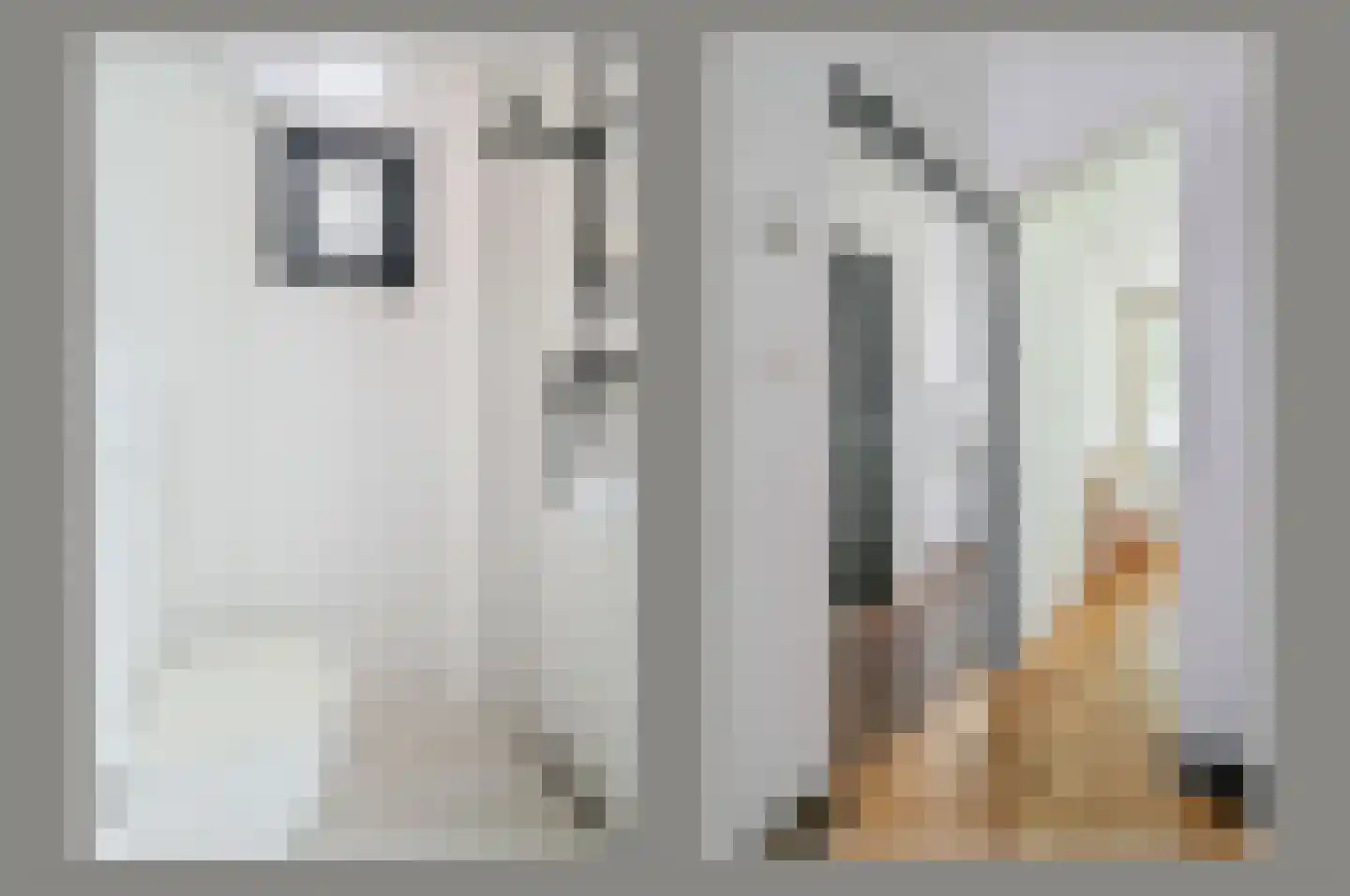 Groen van Prinstererstraat 9 2 Amsterdam thumbnail 12