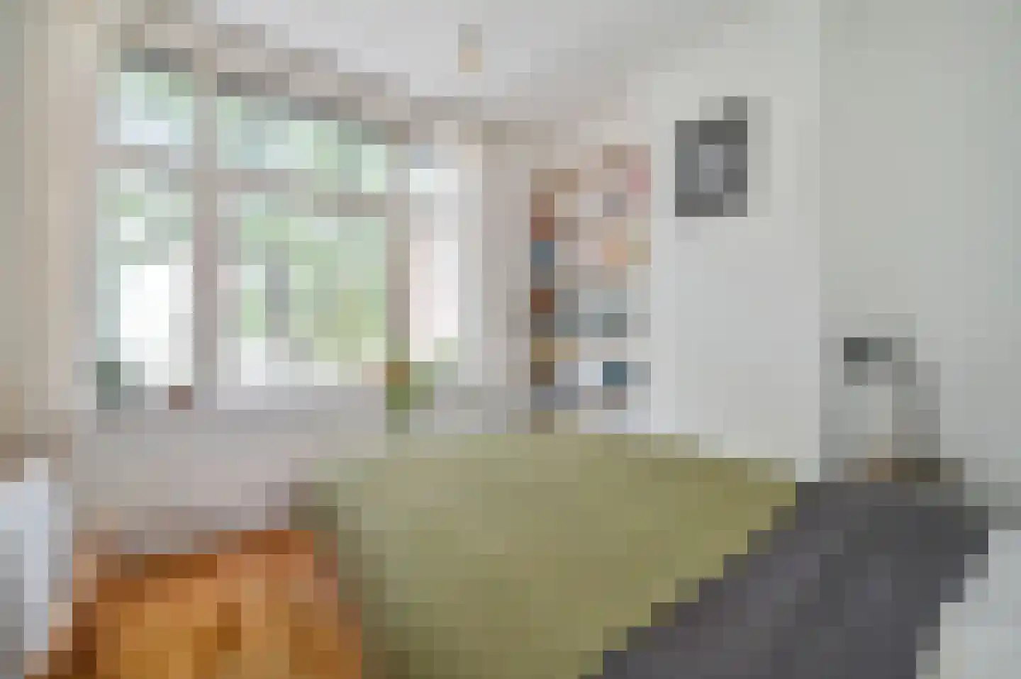 Groen van Prinstererstraat 9 2 Amsterdam thumbnail 9