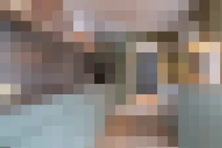 Groen van Prinstererstraat 9 Veenendaal thumbnail 13