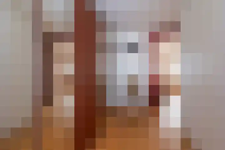 Groen van Prinstererstraat 9 Veenendaal thumbnail 22