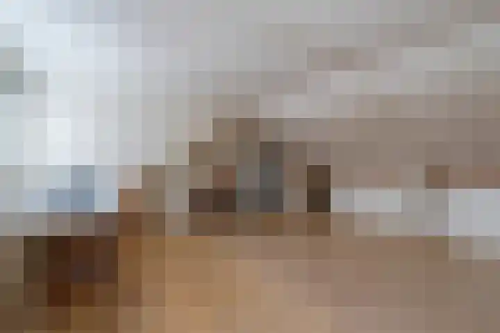 Groen van Prinstererstraat 9 Veenendaal thumbnail 26