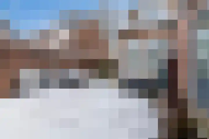 Groen van Prinstererstraat 9 Veenendaal thumbnail 33