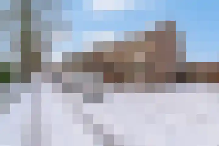 Groen van Prinstererstraat 9 Veenendaal thumbnail 37