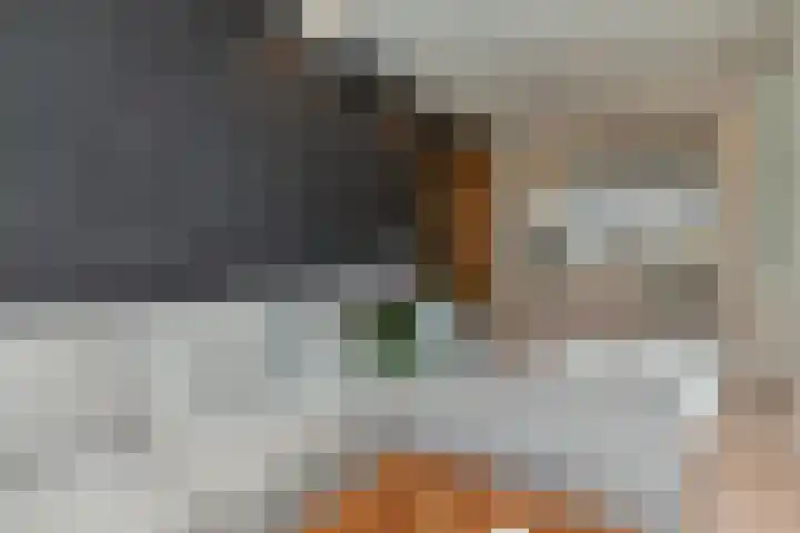 Groen van Prinstererstraat 93 Alblasserdam thumbnail 12