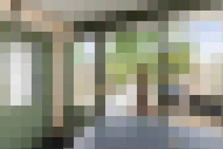 Groen van Prinstererstraat 93 Alblasserdam thumbnail 37