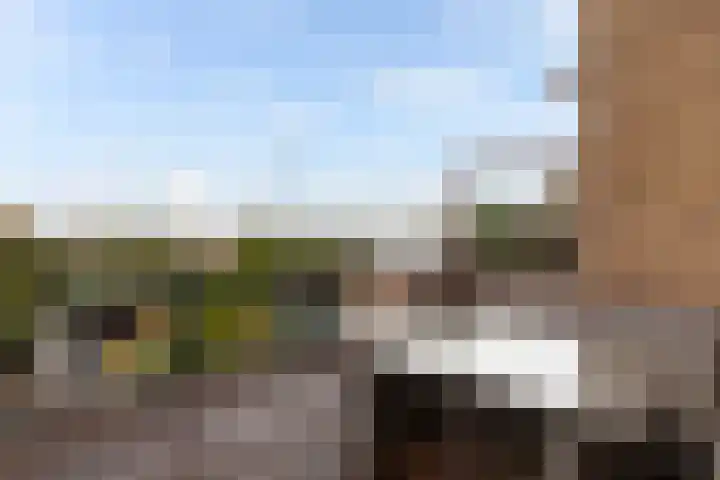 Groen van Prinstererstraat 93 Alblasserdam thumbnail 38