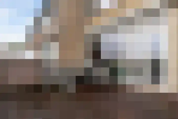 Groen van Prinstererstraat 93 Alblasserdam thumbnail 39