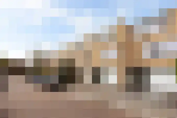 Groen van Prinstererstraat 93 Alblasserdam thumbnail 45