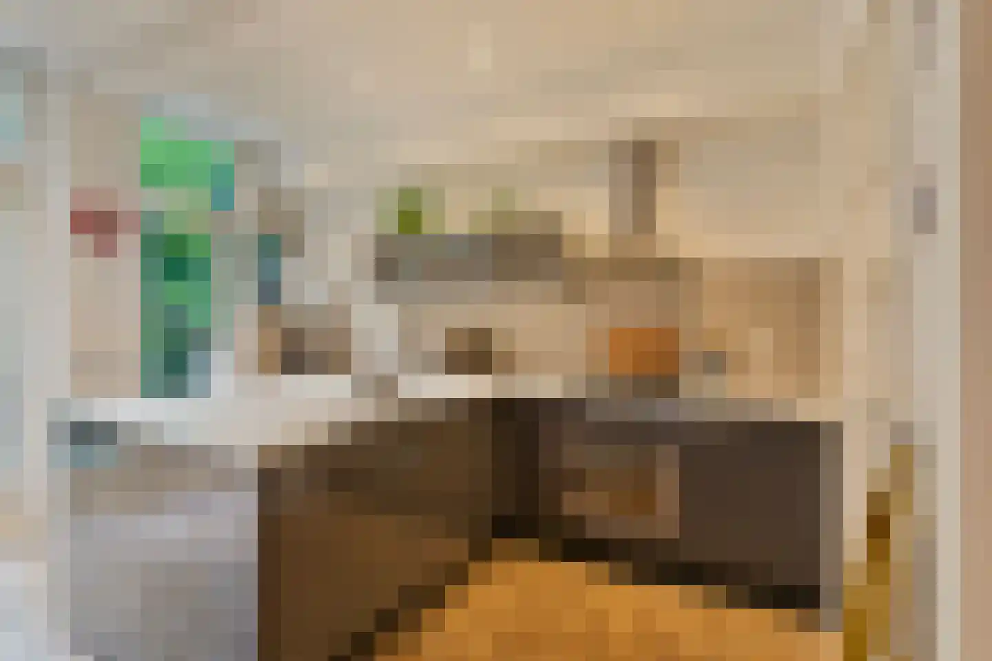Groen van Prinstererstraat 93 B Rotterdam thumbnail 11