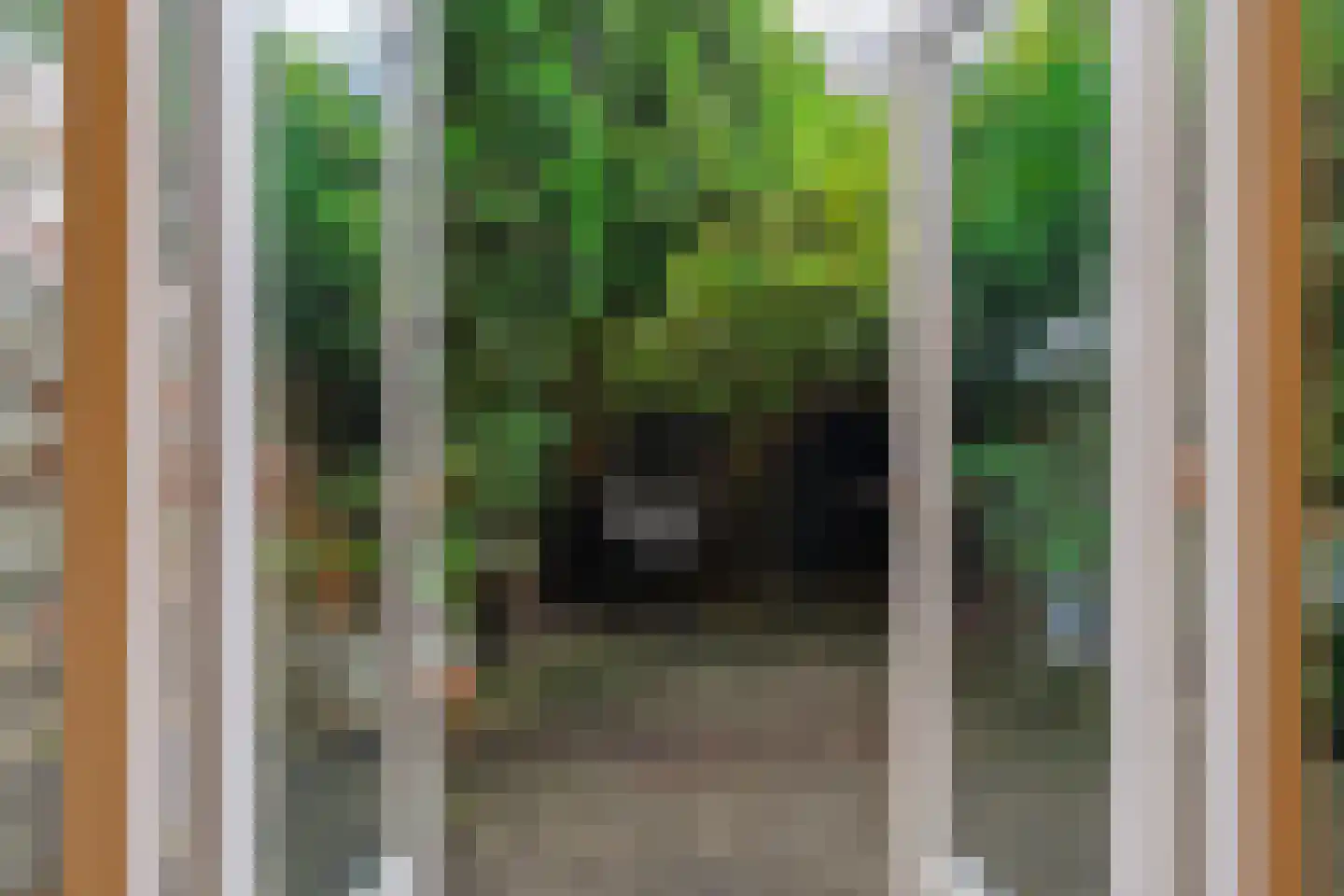 Groen van Prinstererstraat 93 B Rotterdam thumbnail 15