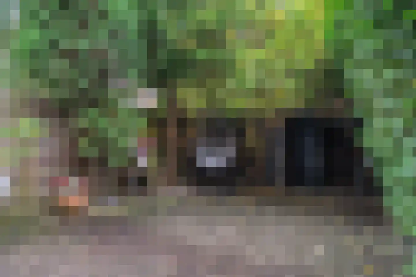Groen van Prinstererstraat 93 B Rotterdam thumbnail 16