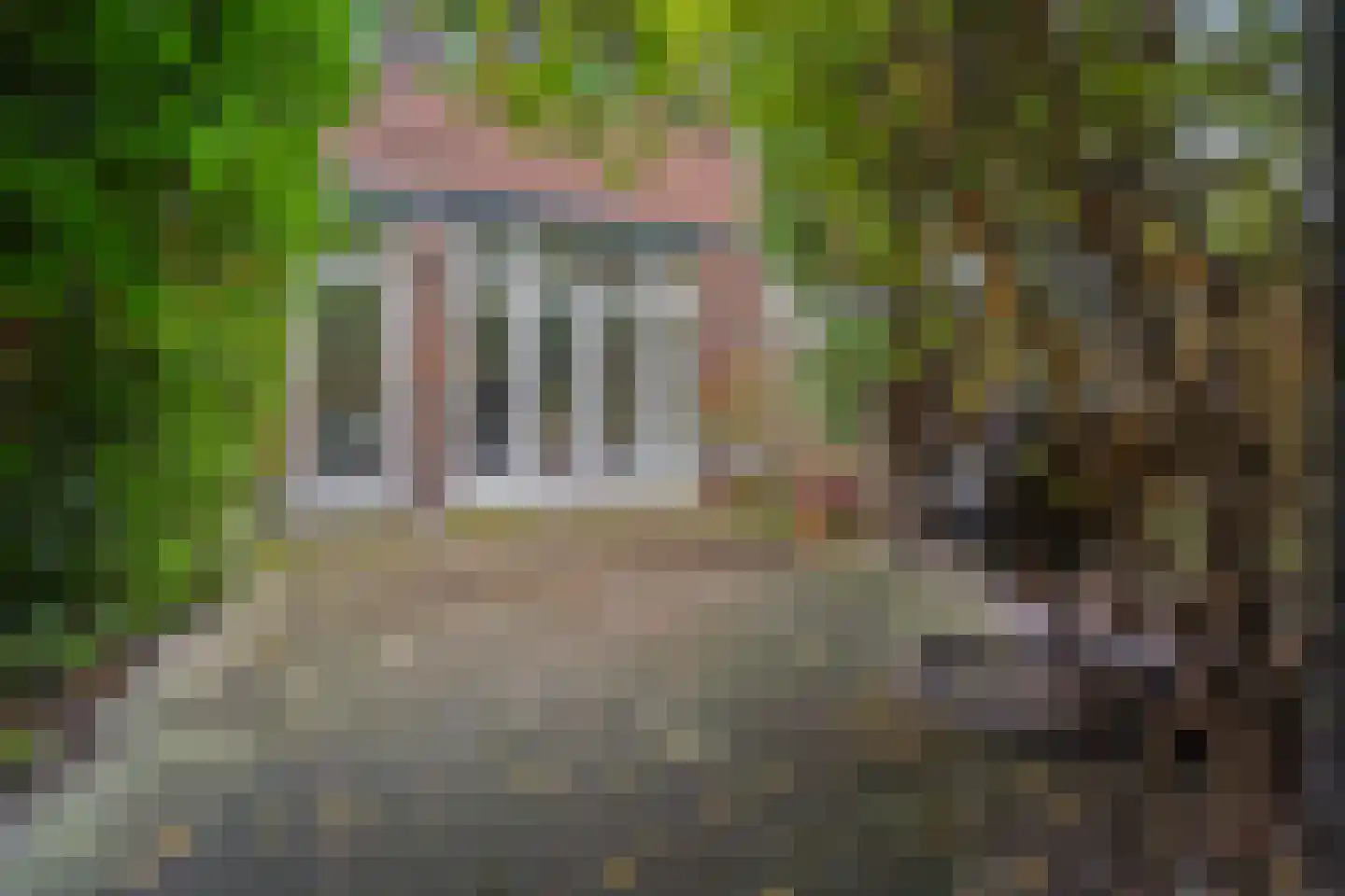 Groen van Prinstererstraat 93 B Rotterdam thumbnail 17