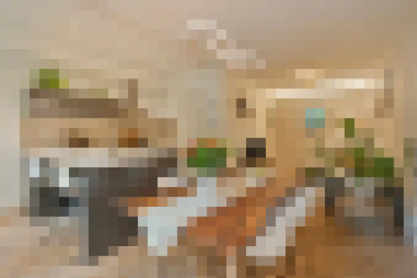 Groen van Prinstererstraat 93 B Rotterdam thumbnail 19