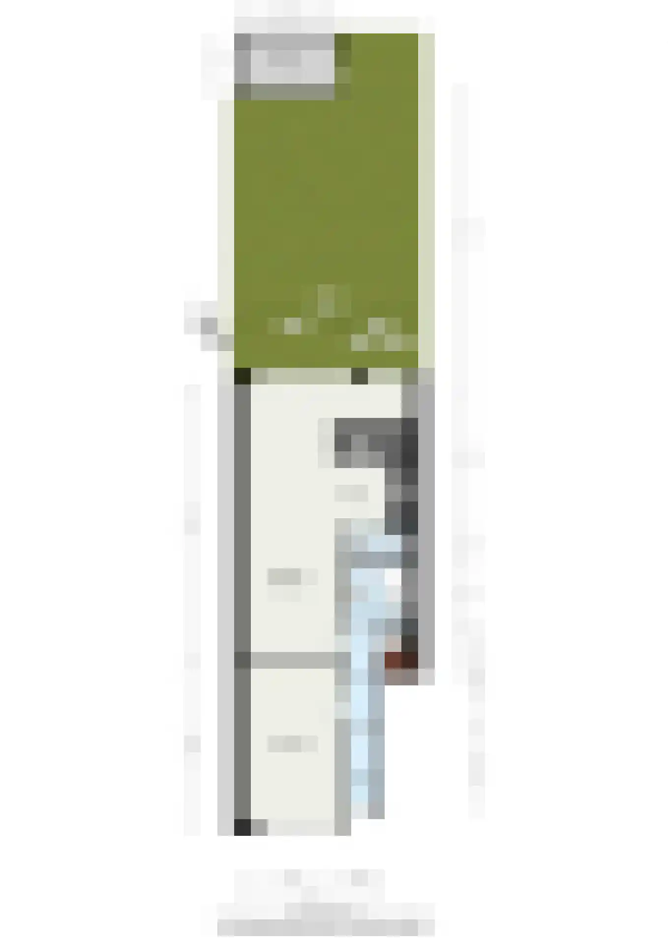Groen van Prinstererstraat 93 B Rotterdam thumbnail 36