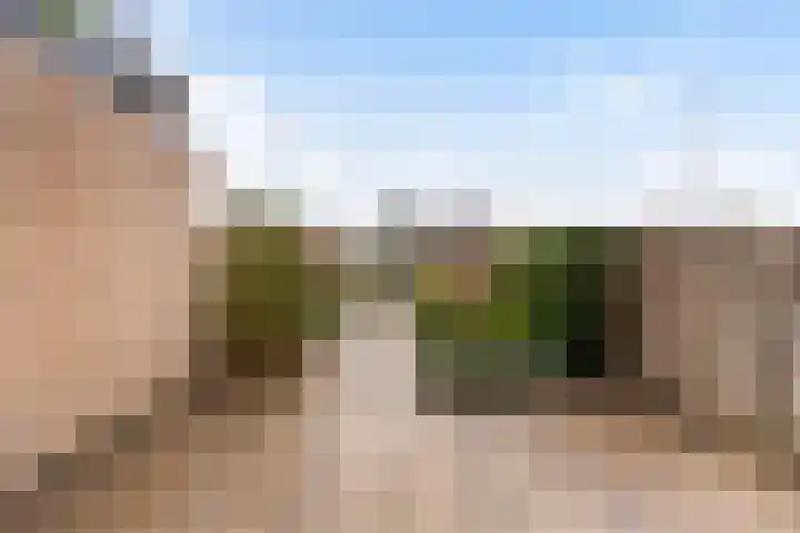Groen van Prinstererstraat 97 Alblasserdam thumbnail 30