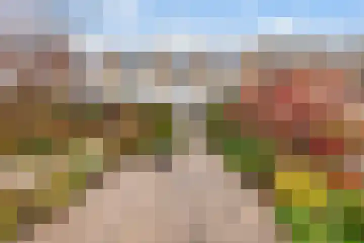 Groen van Prinstererstraat 97 Alblasserdam thumbnail 31