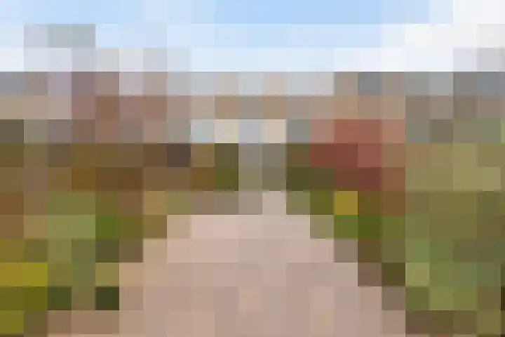 Groen van Prinstererstraat 97 Alblasserdam thumbnail 34