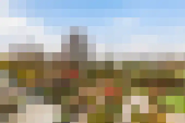 Groen van Prinstererstraat 97 Alblasserdam thumbnail 35