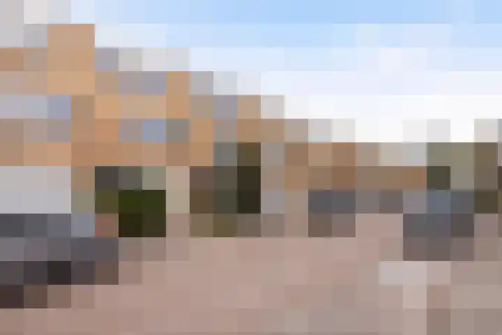 Groen van Prinstererstraat 97 Alblasserdam thumbnail 39