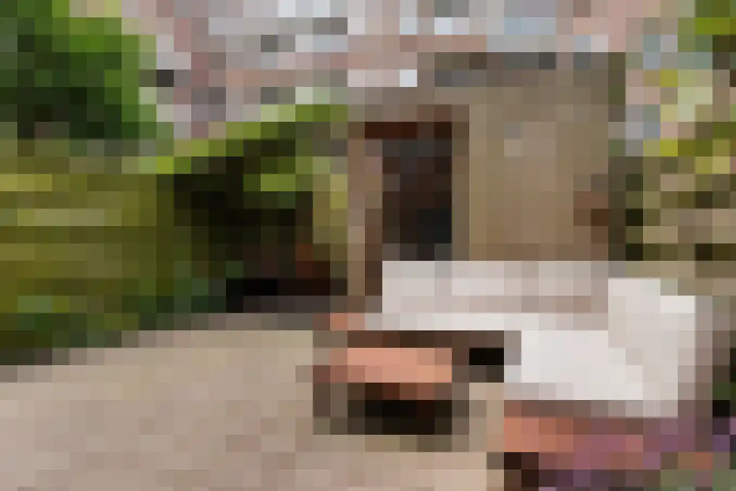 Groen van Prinstererstraat 99 A Rotterdam thumbnail 18
