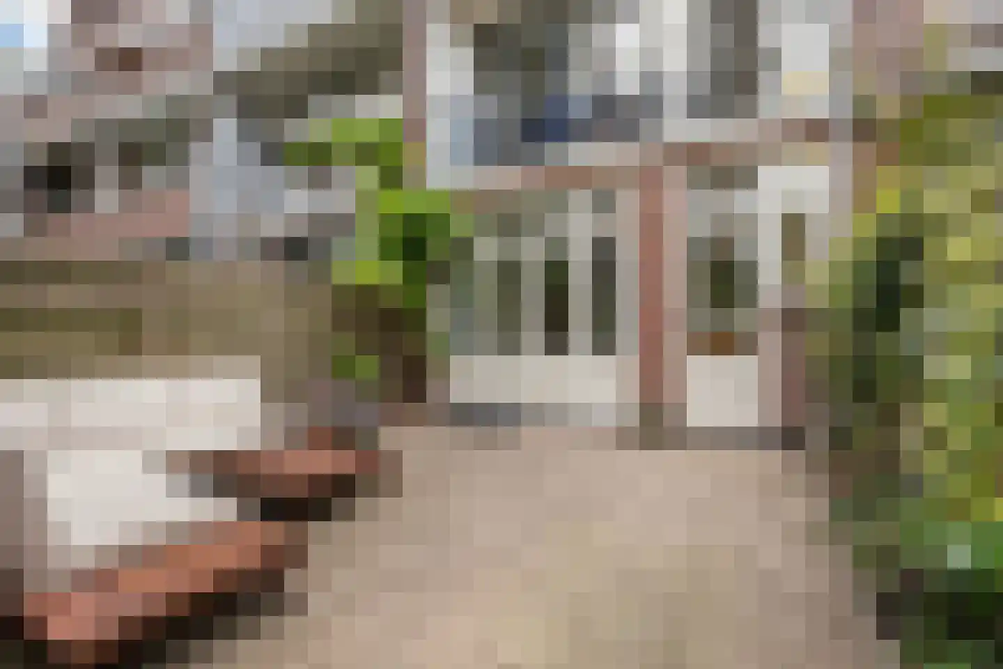 Groen van Prinstererstraat 99 A Rotterdam thumbnail 21