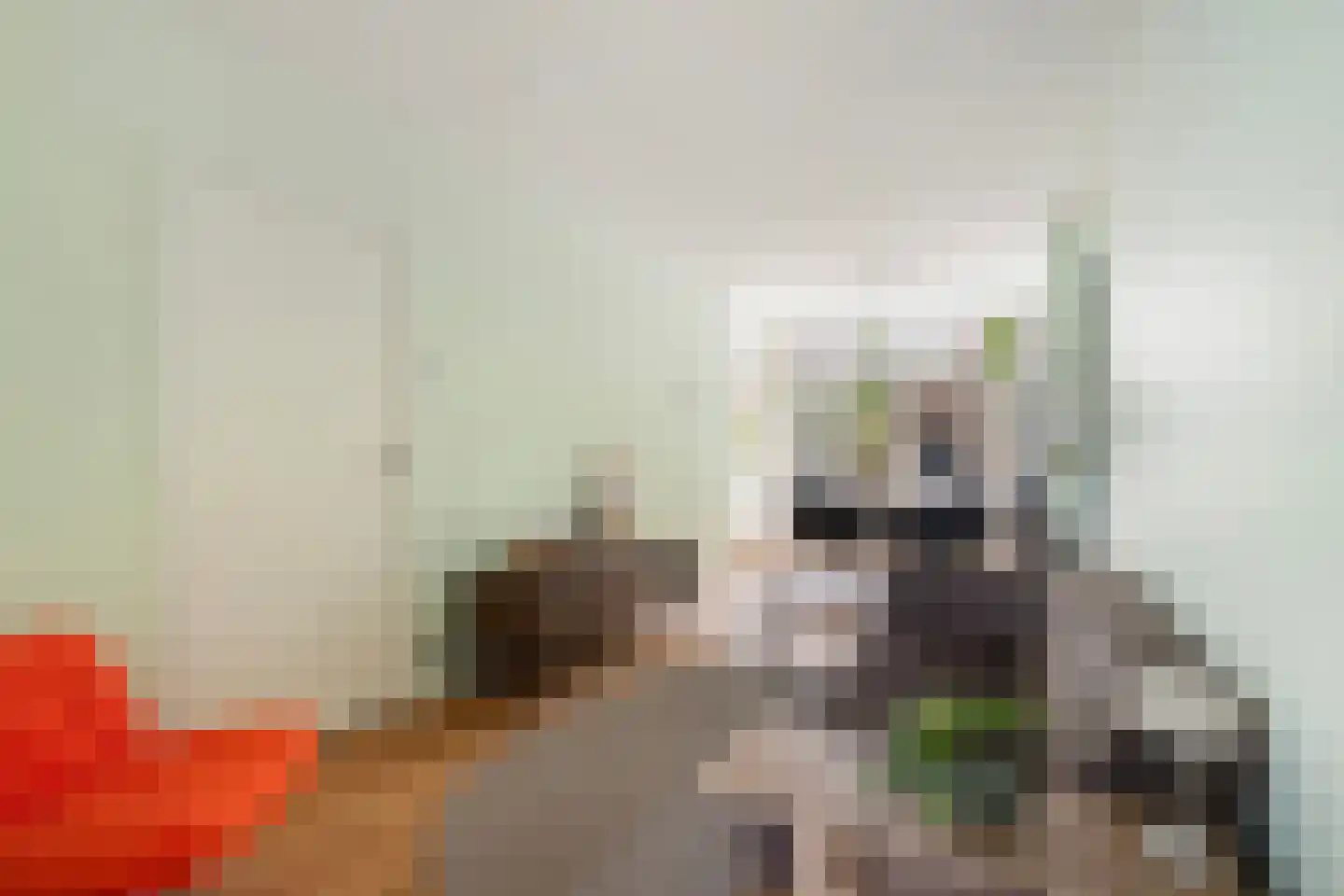 Groen van Prinstererstraat 99 A Rotterdam thumbnail 4