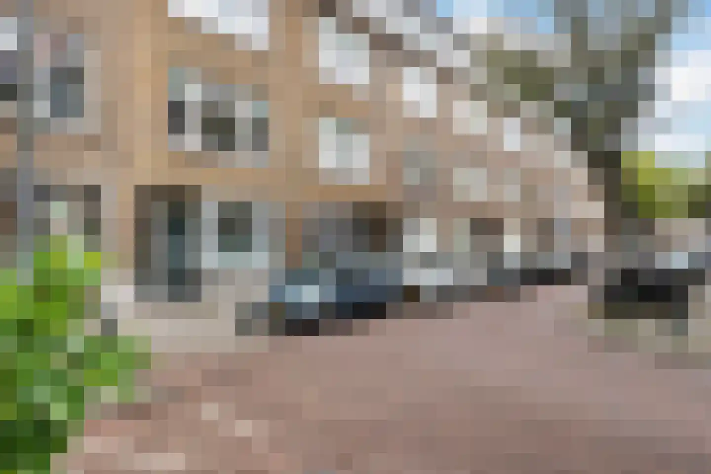 Groen van Prinstererstraat 99 A Rotterdam thumbnail 6