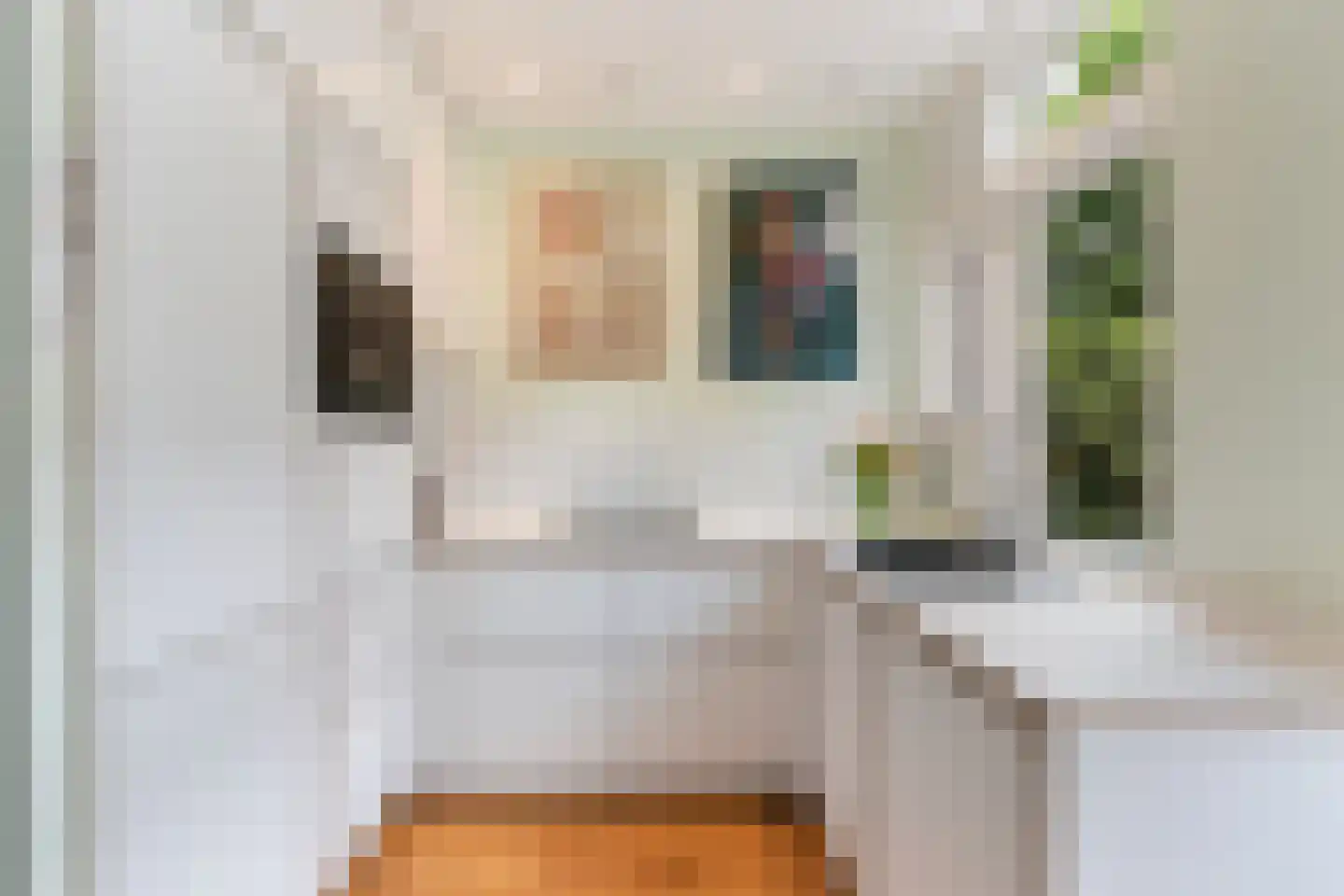 Groen van Prinstererstraat 99 A Rotterdam thumbnail 7