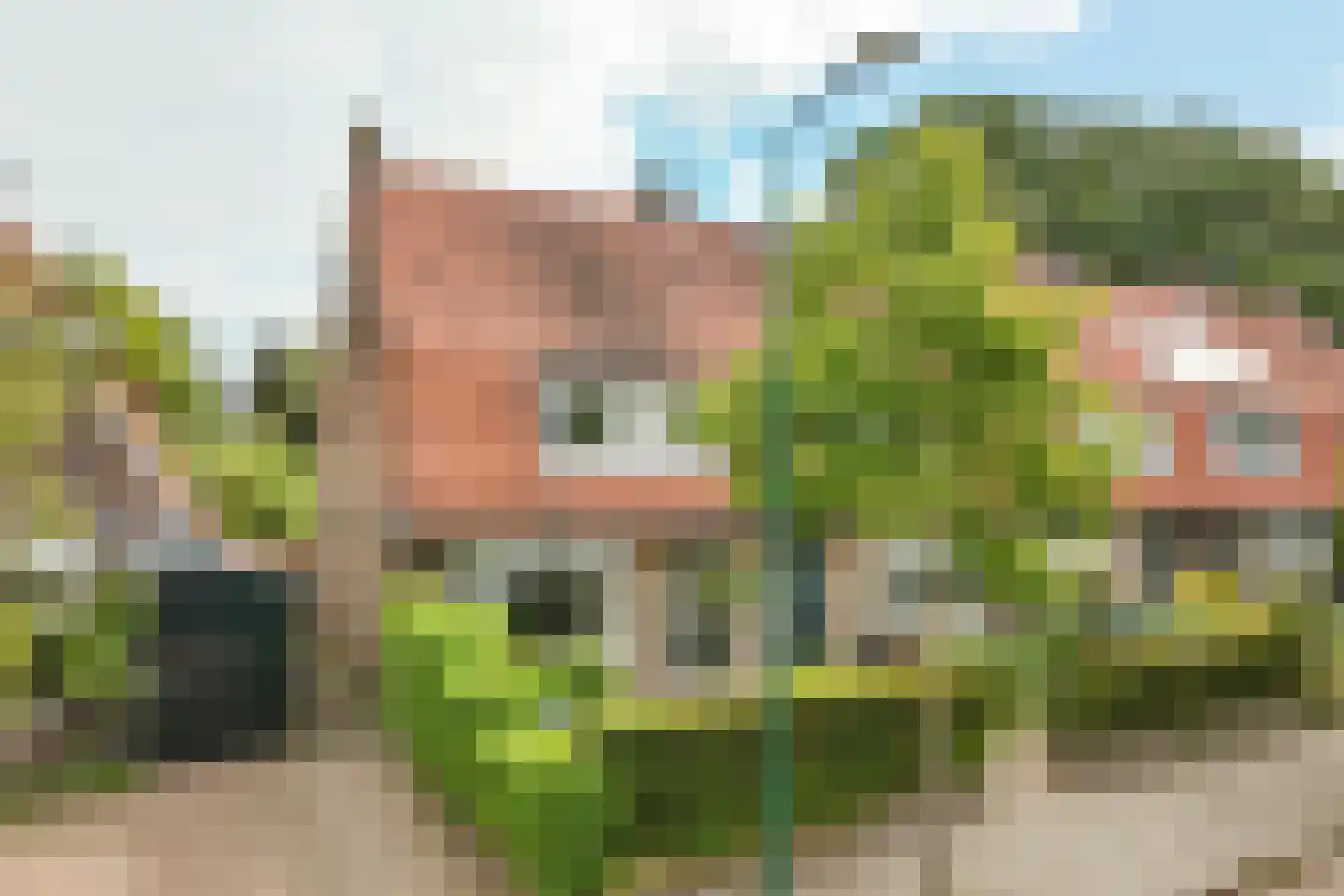 Groen van Prinstererweg 12 in De Bilt