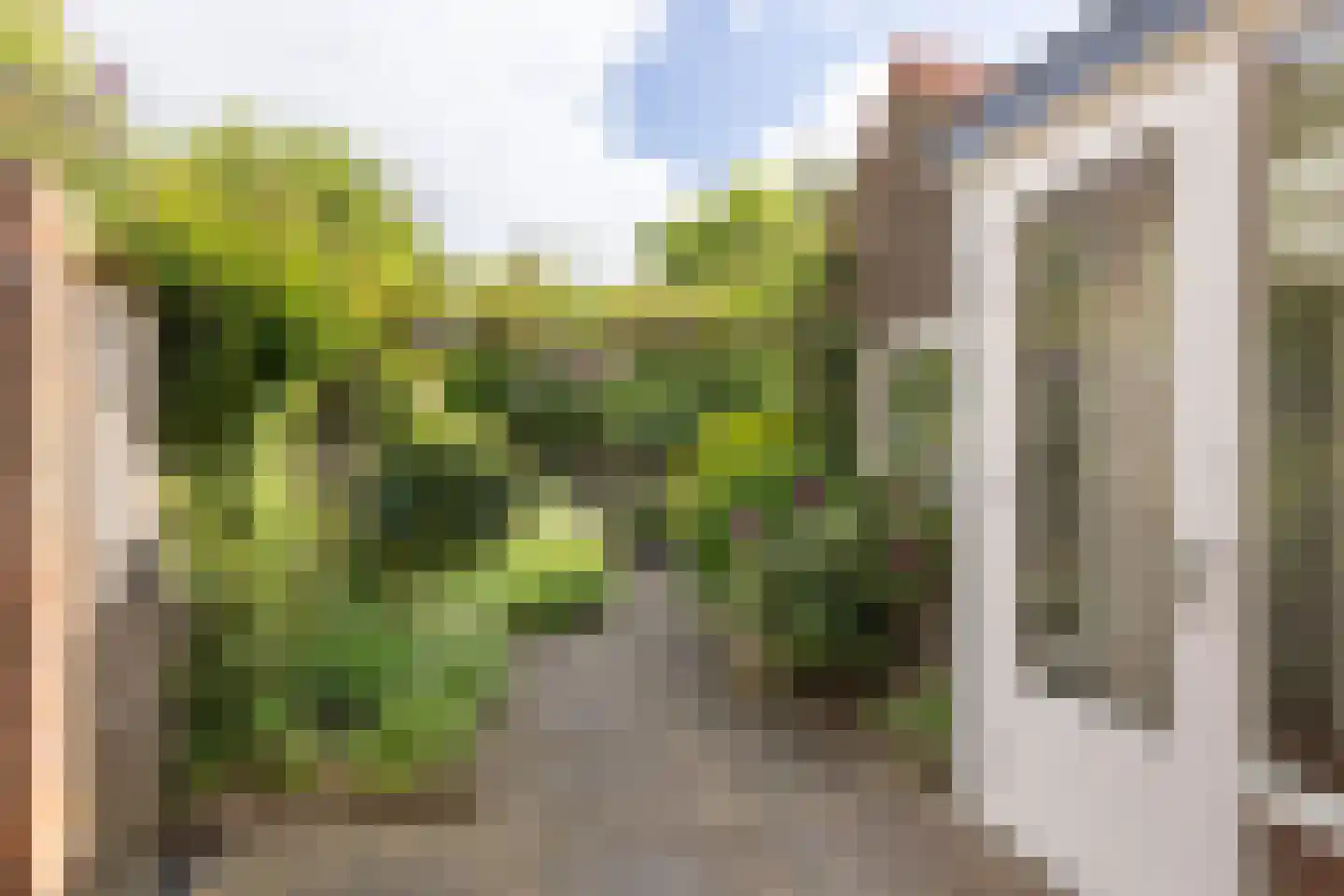 Groen van Prinstererweg 12 De Bilt thumbnail 34