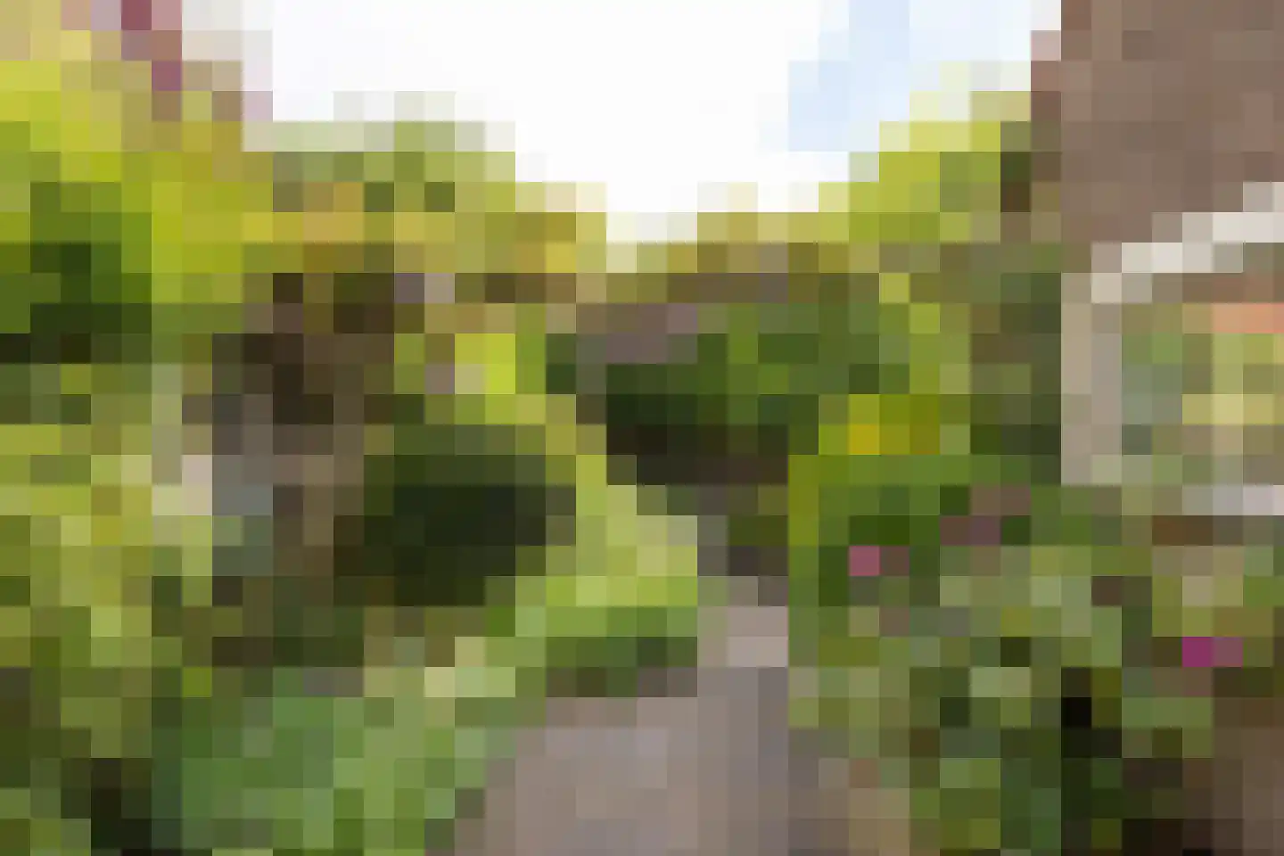 Groen van Prinstererweg 12 De Bilt thumbnail 35