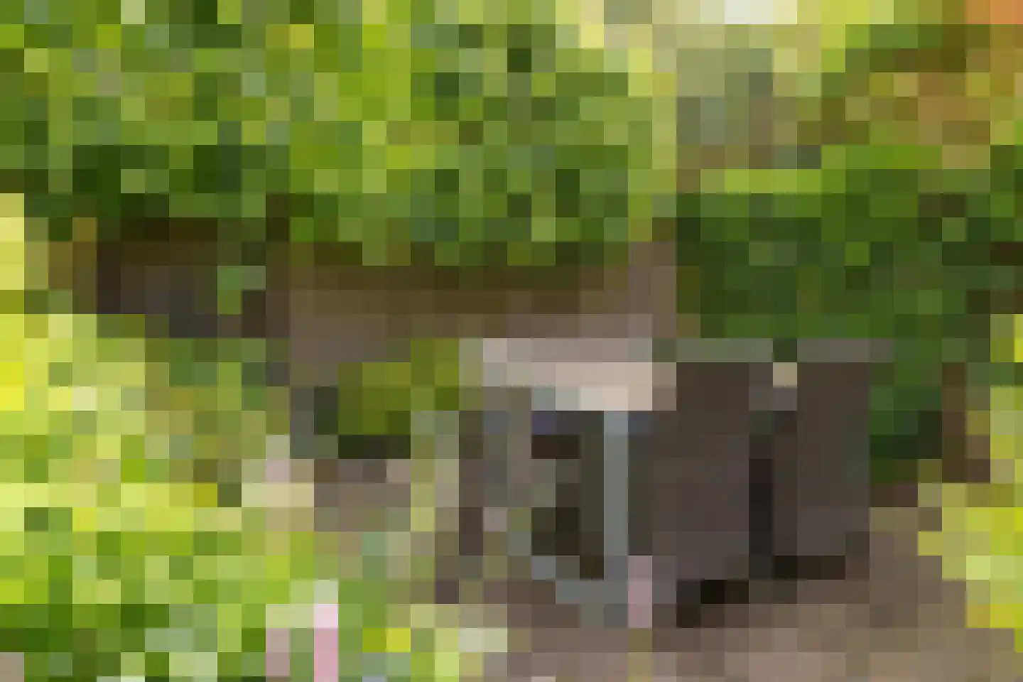Groen van Prinstererweg 12 De Bilt thumbnail 37