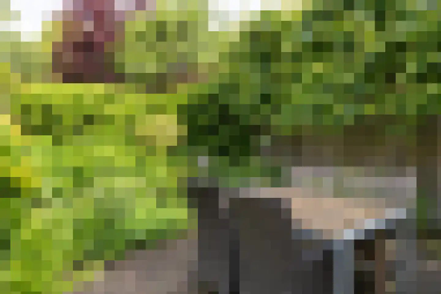 Groen van Prinstererweg 12 De Bilt thumbnail 38
