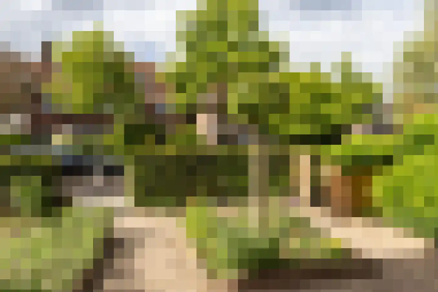 Groen van Prinstererweg 12 De Bilt thumbnail 4