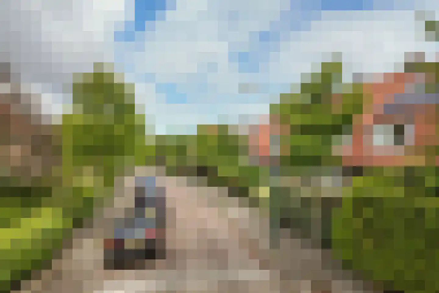 Groen van Prinstererweg 12 De Bilt thumbnail 43