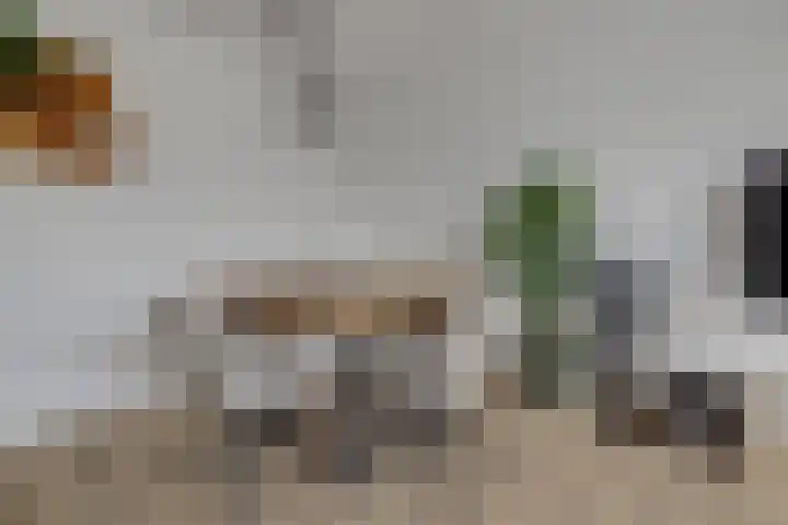 Groen van Prinstererweg 125 Dordrecht thumbnail 9