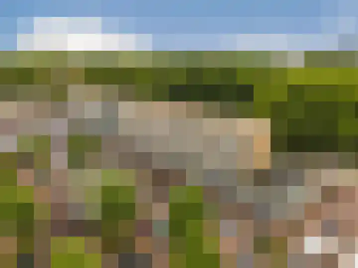 Groen van Prinstererweg 19 in Dordrecht