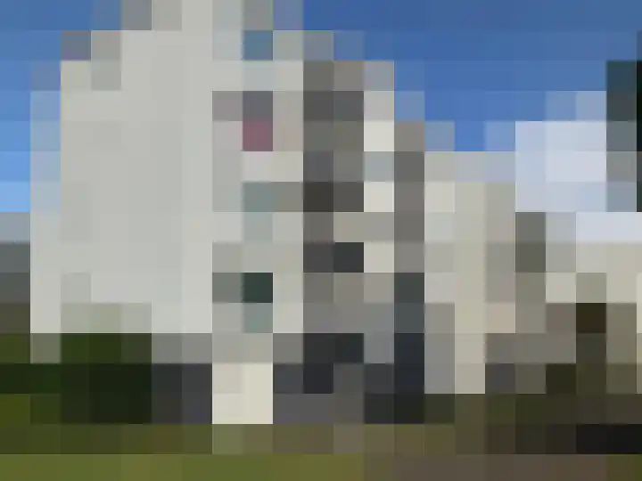 Groen van Prinstererweg 216 Dordrecht thumbnail 18