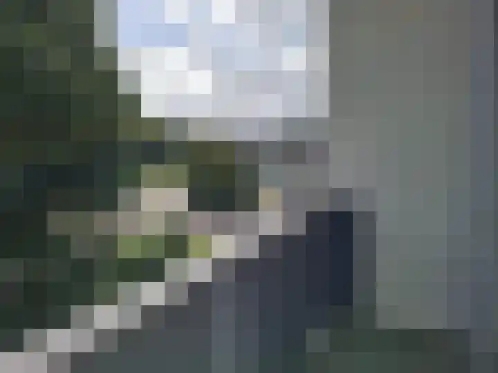 Groen van Prinstererweg 216 Dordrecht thumbnail 8