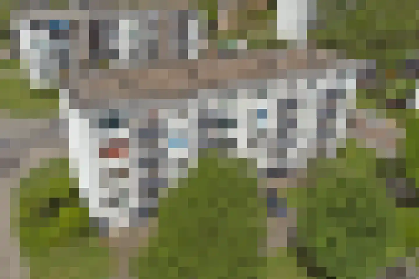 Groen van Prinstererweg 220 Dordrecht thumbnail 32