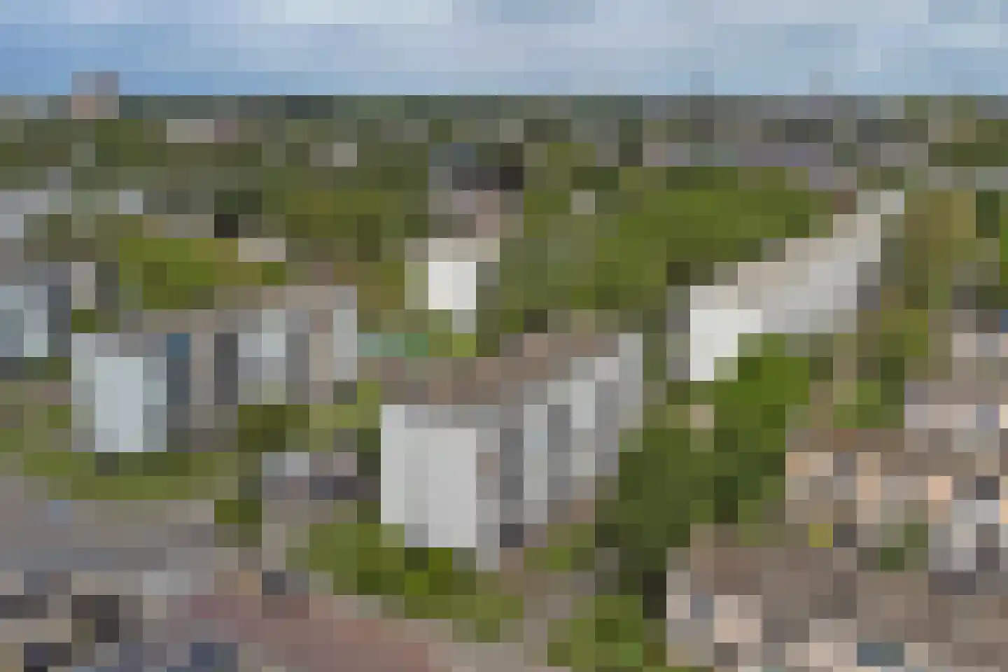 Groen van Prinstererweg 220 Dordrecht thumbnail 33