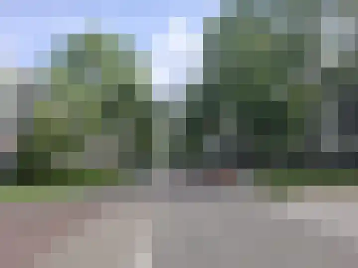 Groen van Prinstererweg 279 Dordrecht thumbnail 12