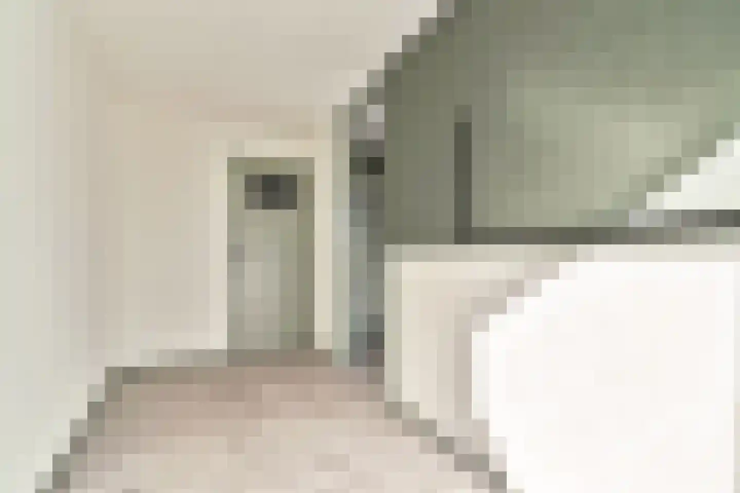 Groen van Prinstererweg 39 Dordrecht thumbnail 23