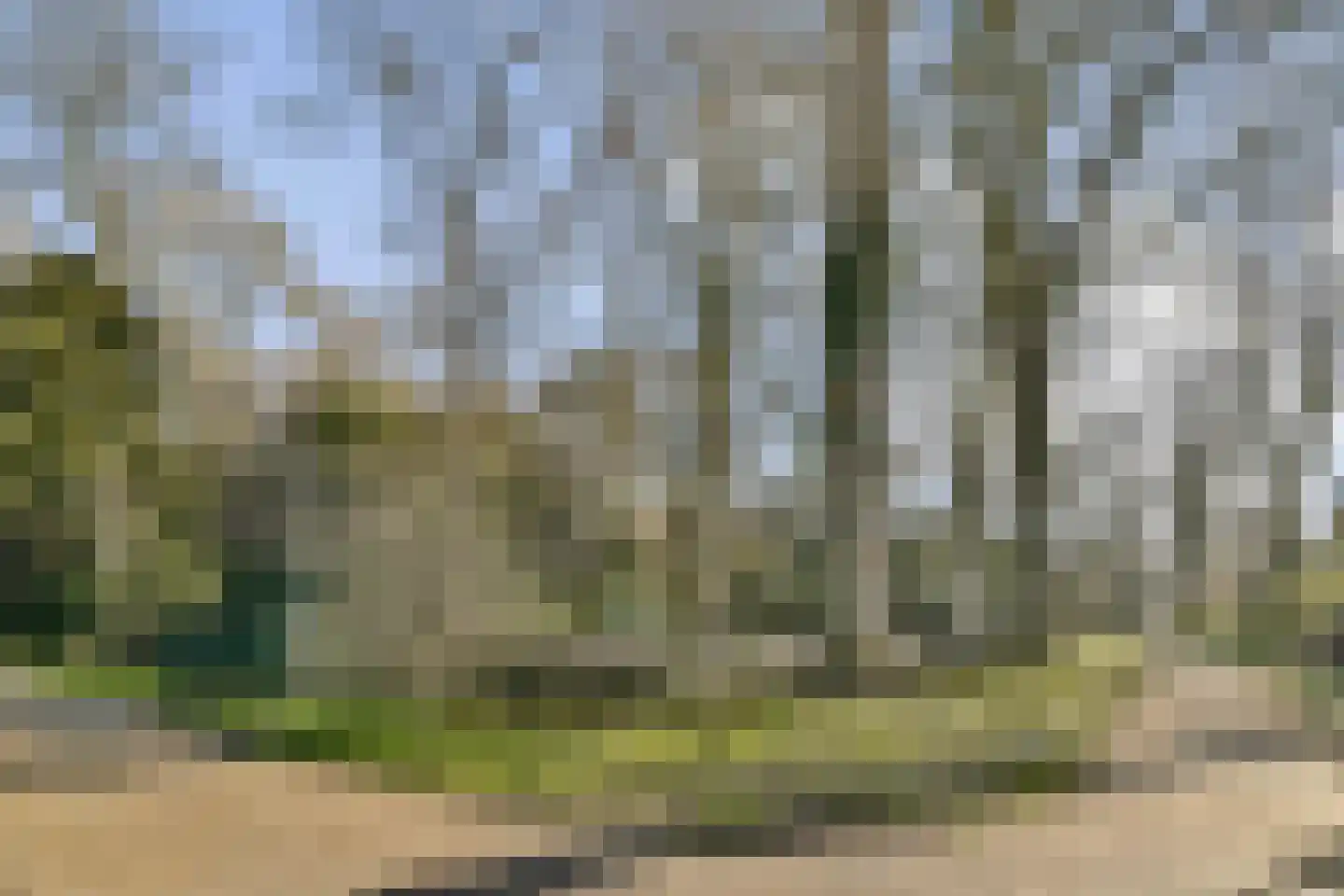 Groen van Prinstererweg 39 Dordrecht thumbnail 26