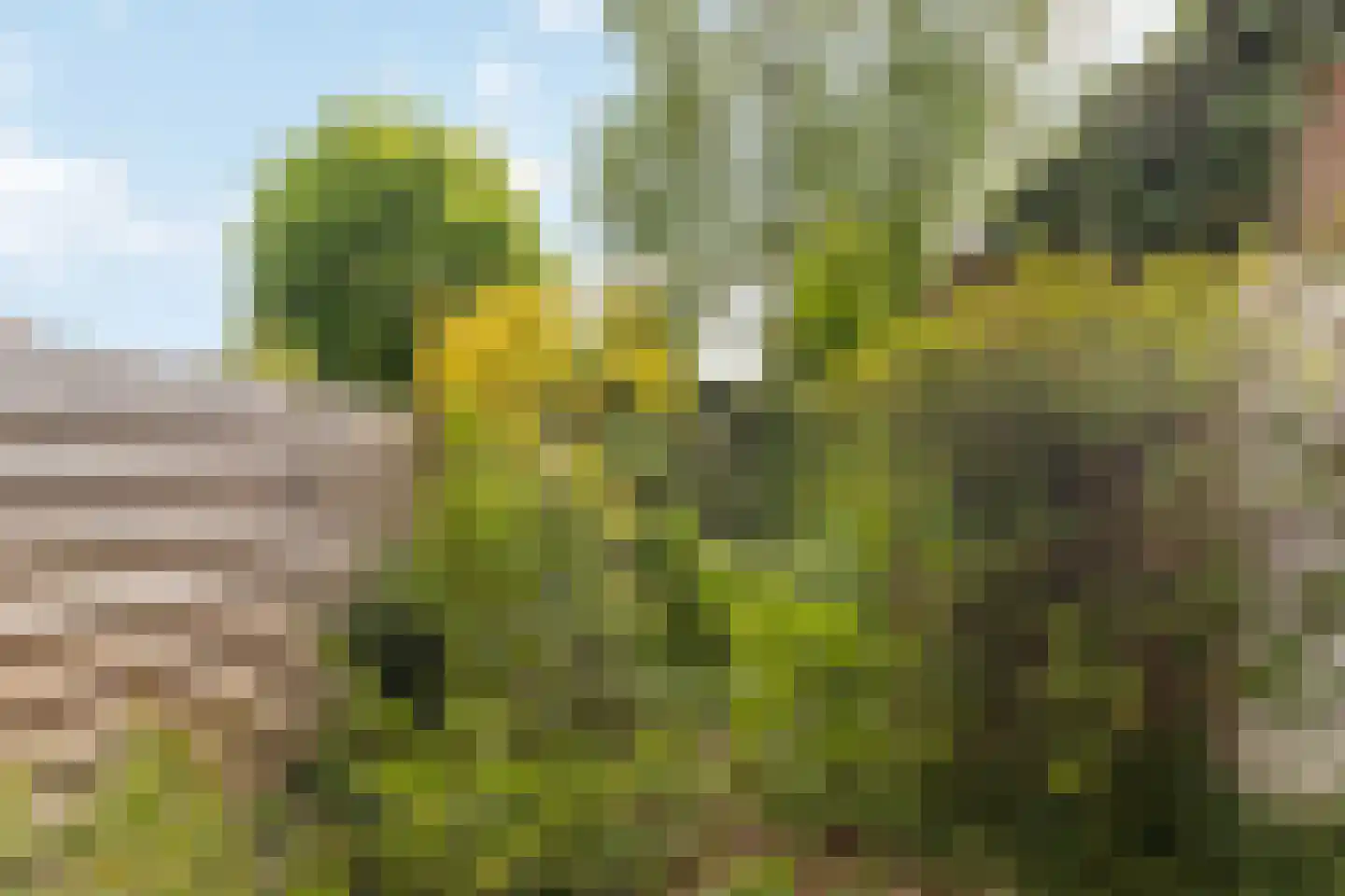 Groen van Prinstererweg 41 De Bilt thumbnail 37