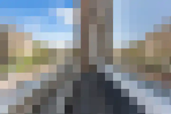 Groen van Prinstererweg 41 Ridderkerk thumbnail 5