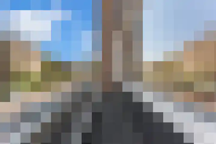 Groen van Prinstererweg 41 Ridderkerk thumbnail 7