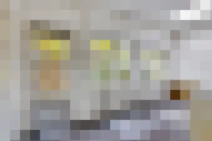 Groen van Prinstererweg 45 De Bilt thumbnail 32
