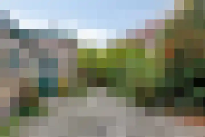 Groen van Prinstererweg 45 De Bilt thumbnail 35
