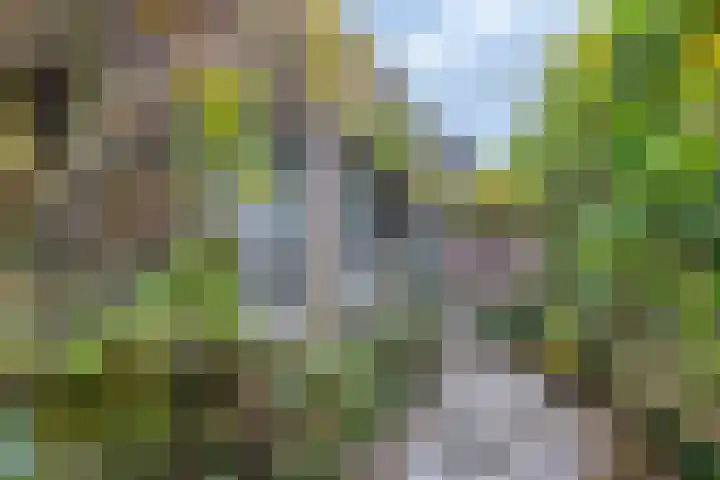 Groen van Prinstererweg 45 De Bilt thumbnail 36
